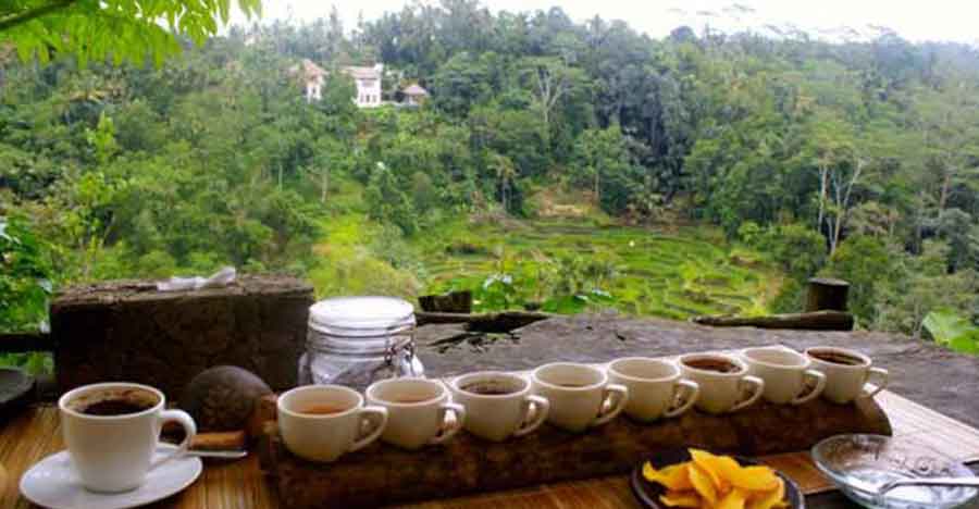 4D3N BALI TOUR PACKAGE