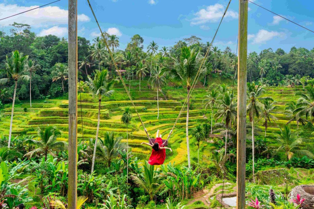 4D3N BALI LAND TOUR ONLY